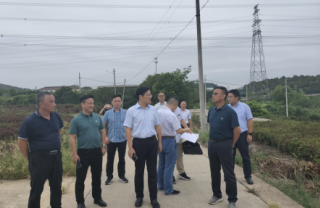 鎮(zhèn)江市丹徒區(qū)政府副區(qū)長(zhǎng)胡光亮、上黨鎮(zhèn)五塘村村民委員會(huì)書記陳永飛、江蘇華電句容分公司項(xiàng)目辦陳志榮主任、江蘇海雷德蒙新能源集團(tuán)公司總經(jīng)理鄭海青一行考察萬畝茶園光伏項(xiàng)目